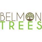 Tree Service Belmontrees LTD Exeter