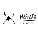 AUTOFLOWER SEEDS Mephisto Genetics Dover