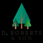 Landscape Gardener D Roberts and Son Gwibnant